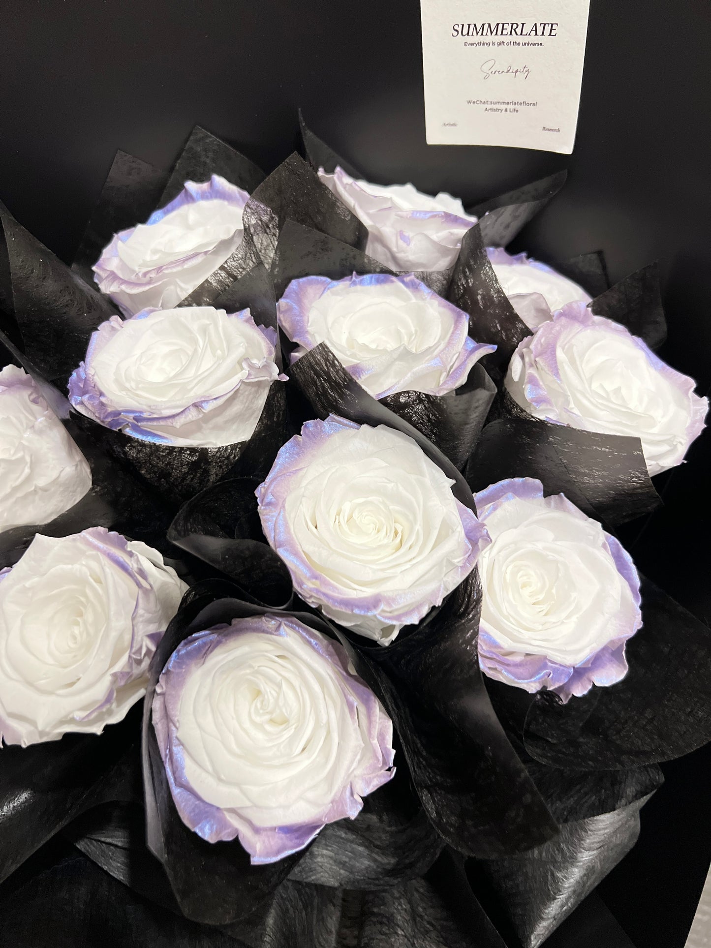 Tinted Preserved Rose