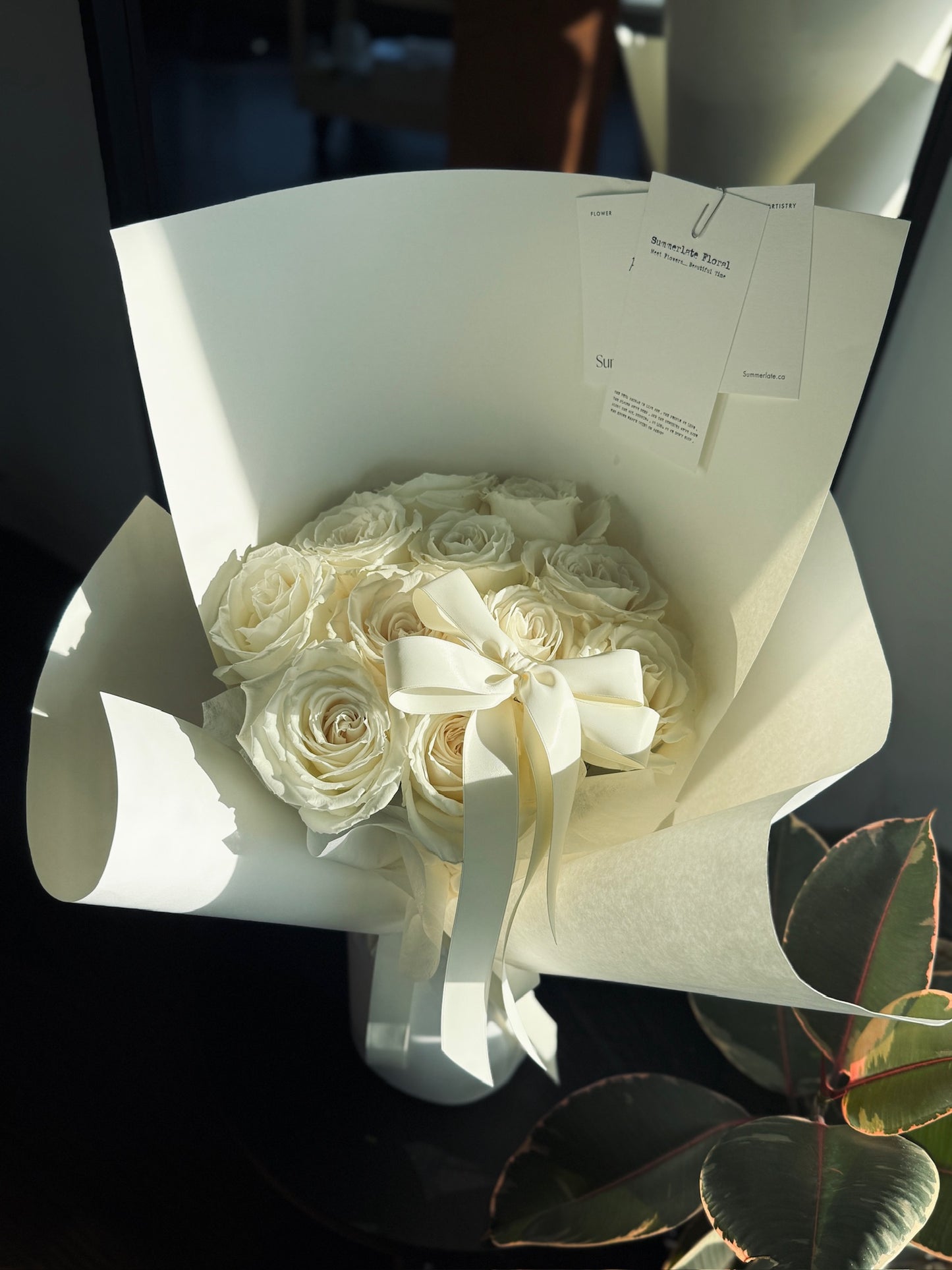 Roses with Curve Card Wrapping