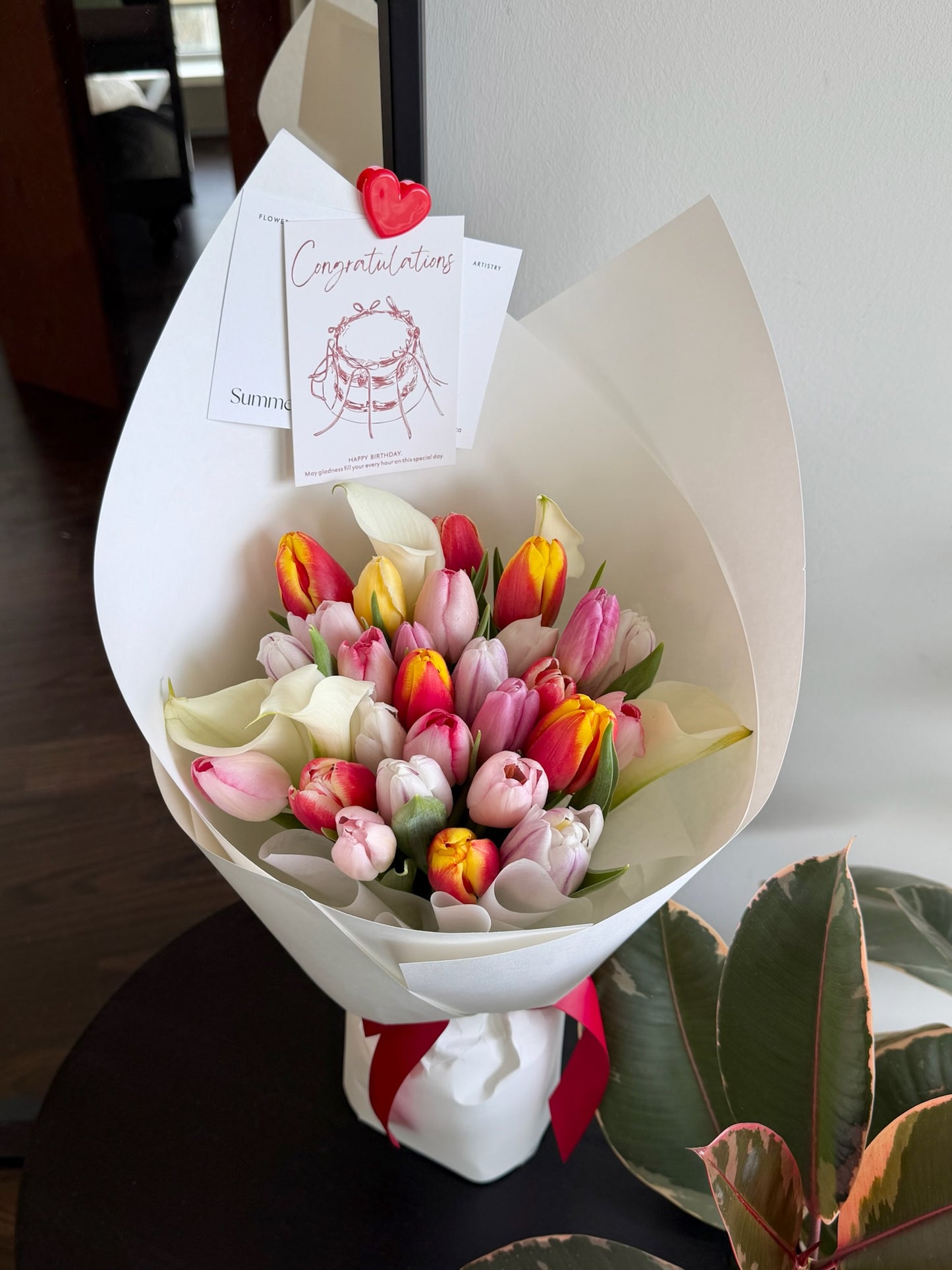 Tulip Rainbow