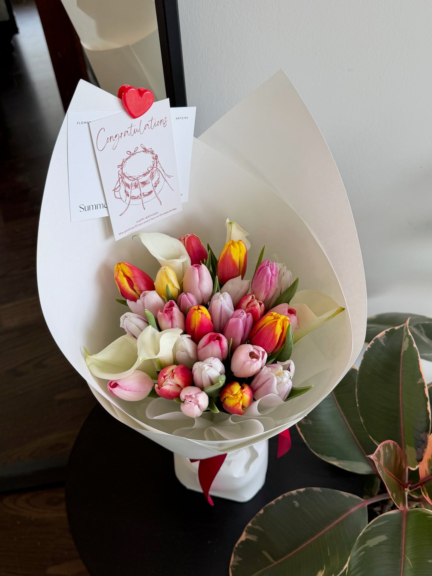 Tulip Rainbow